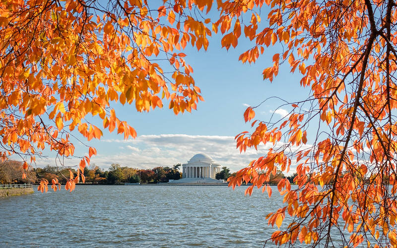 The Jefferson Memorial on Saturday.