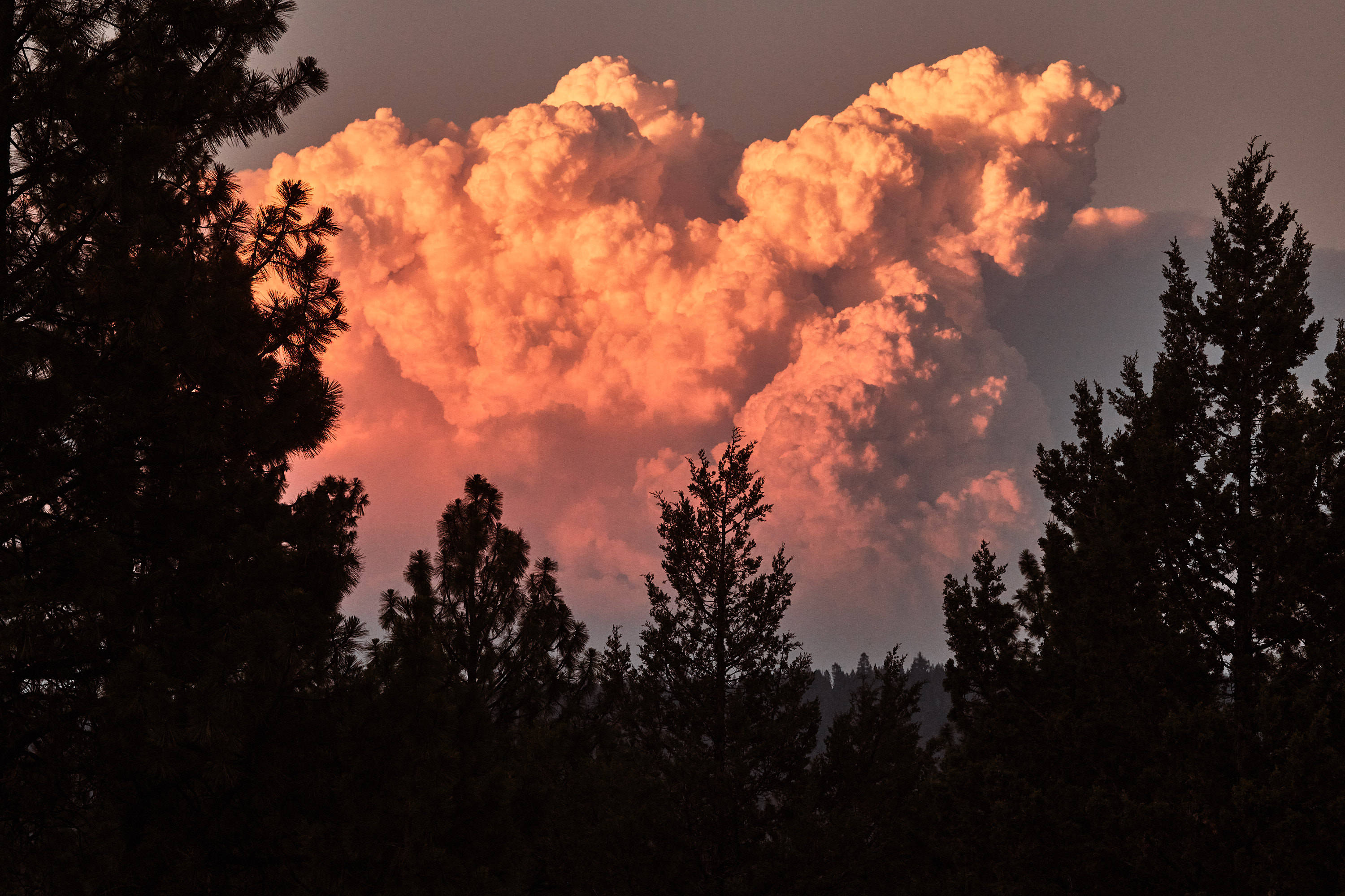 (Mason Trinca for The Washington Post)