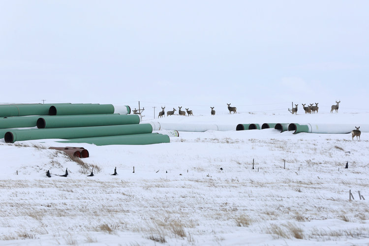 A depot used to store pipes for the Keystone XL oil pipeline in Gascoyne, North Dakota. (Terray Sylvester/Reuters)</p>  