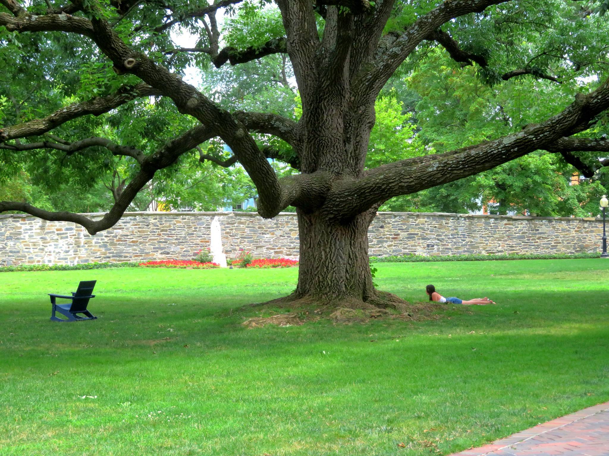 A shady spot on the George University campus on Wednesday. (Jeff Vincent/Flickr)