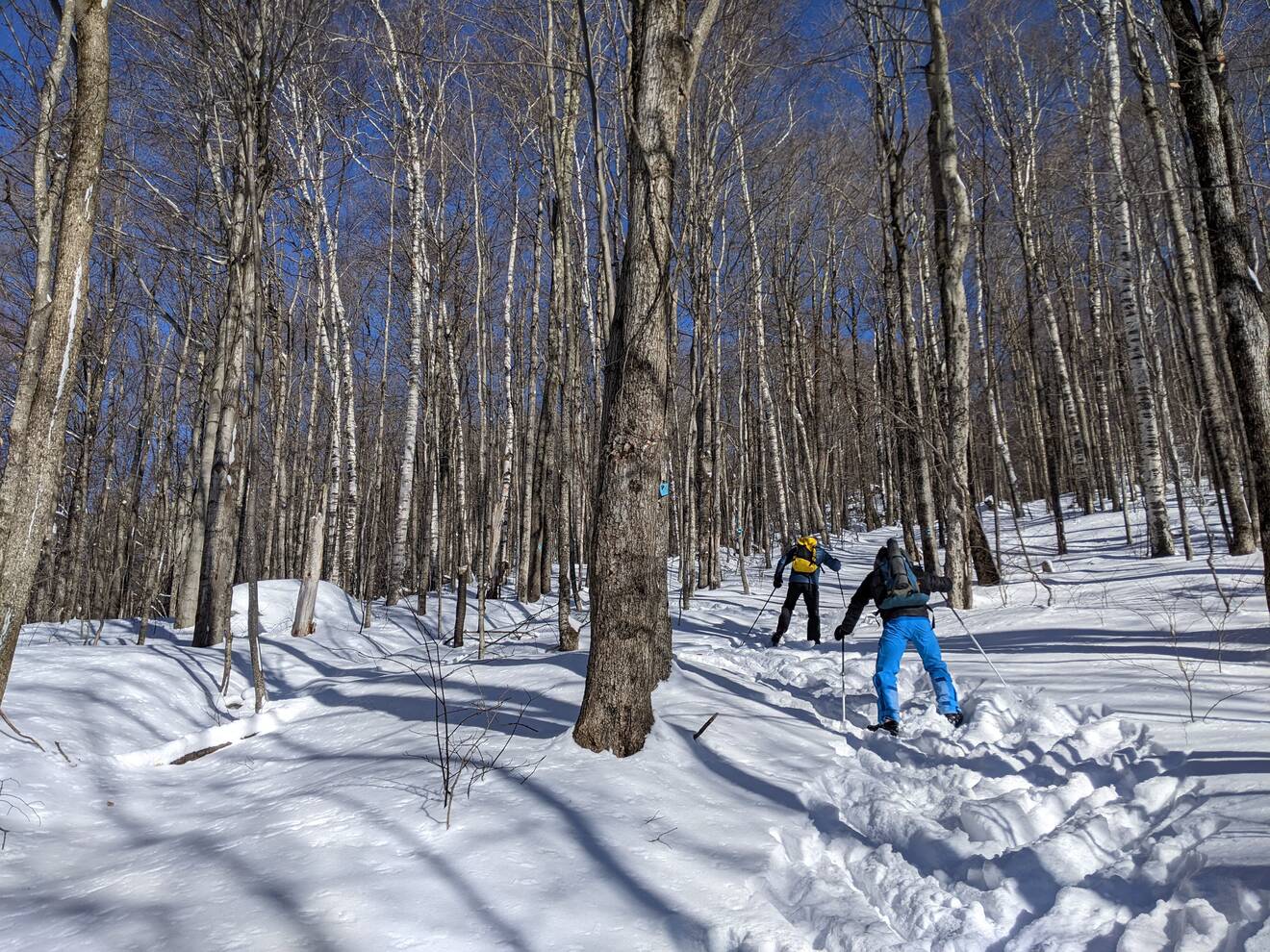 (Jen Rose Smith for The Washington Post)