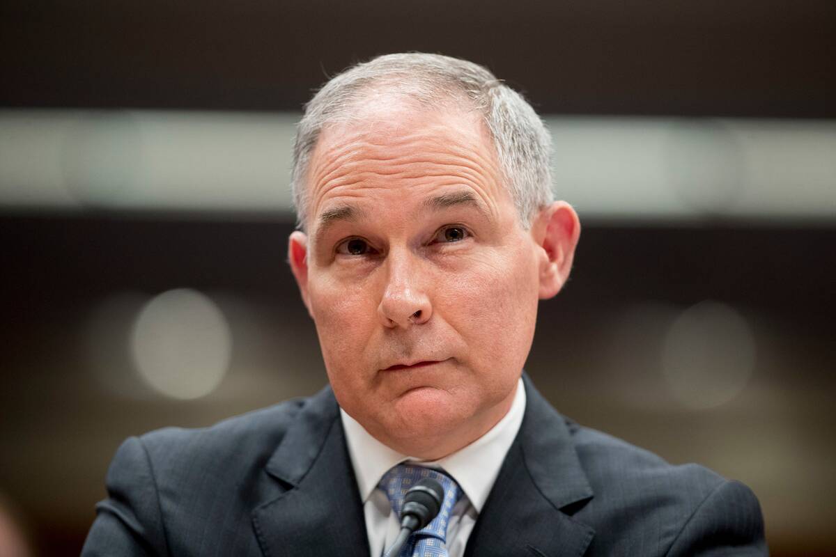 Environmental Protection Agency Administrator Scott Pruitt appears before a Senate panel in 2018. (Andrew Harnik/AP)