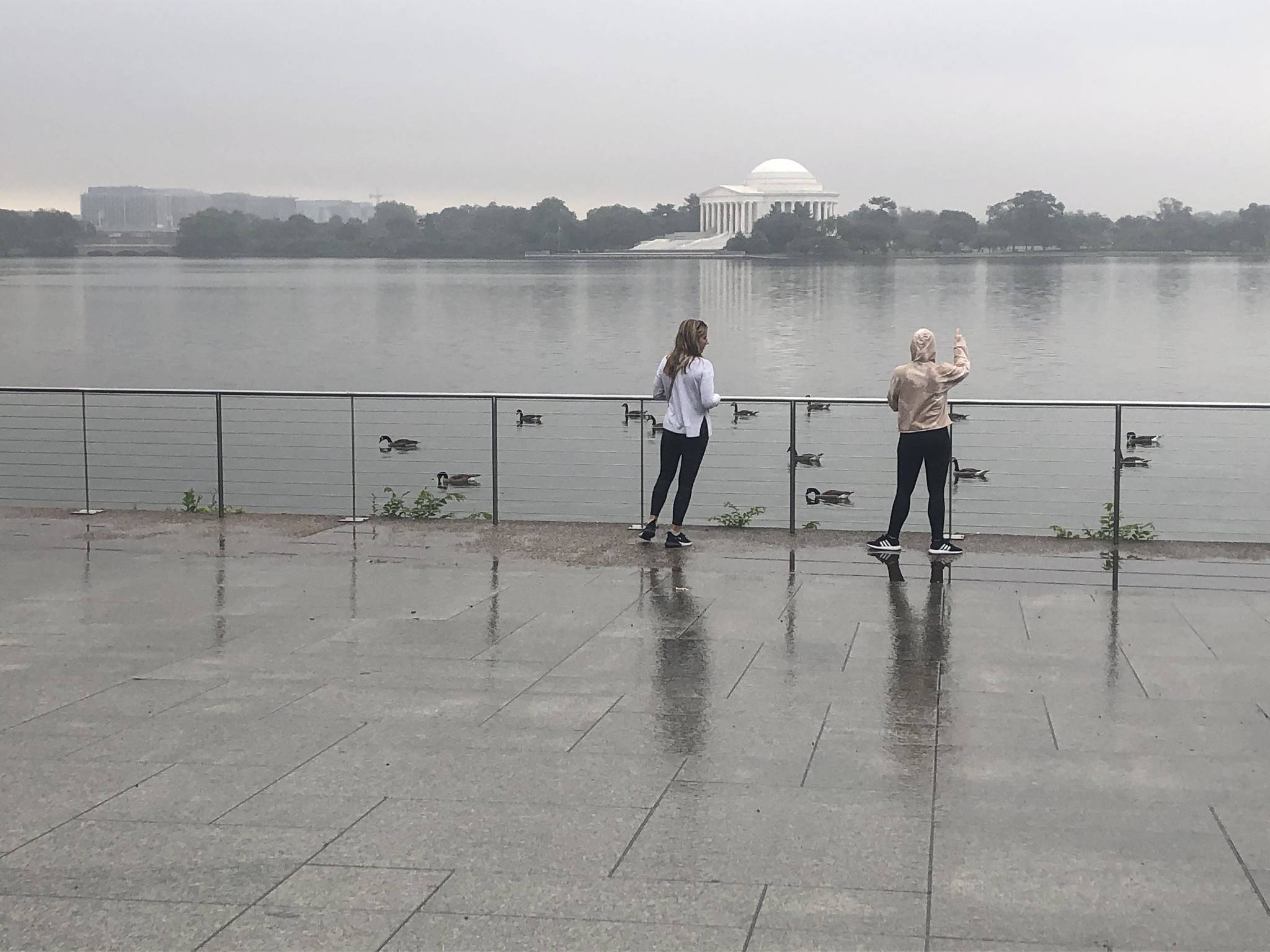 Rain falls on the Tidal Basin and Jefferson Memorial on June 26. (Jeannie In D.C. via CWG.news/Photos)