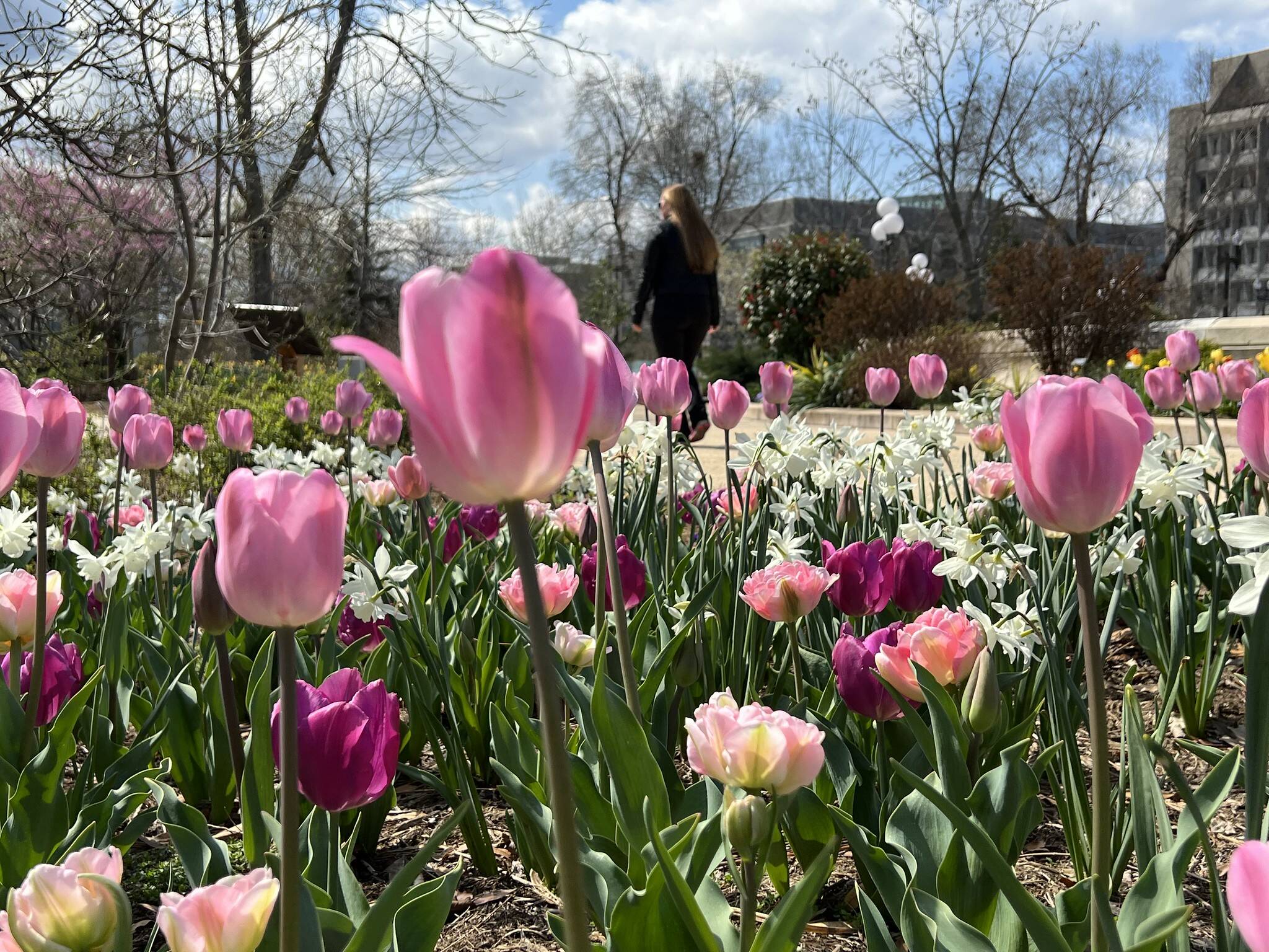 Mostly cloudy skies on Monday at the U.S. Botanic Garden in Southwest Washington. (Jeannie in D.C./Flickr)