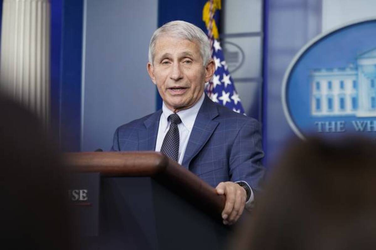 &nbsp;Anthony Fauci, director of the National Institute of Allergy and Infectious Diseases. (AP Photo/Susan Walsh, File)