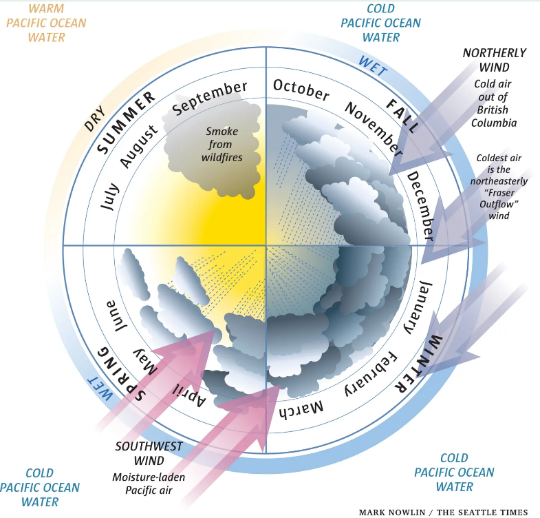 Seattle's seasons. (Seattle Times)