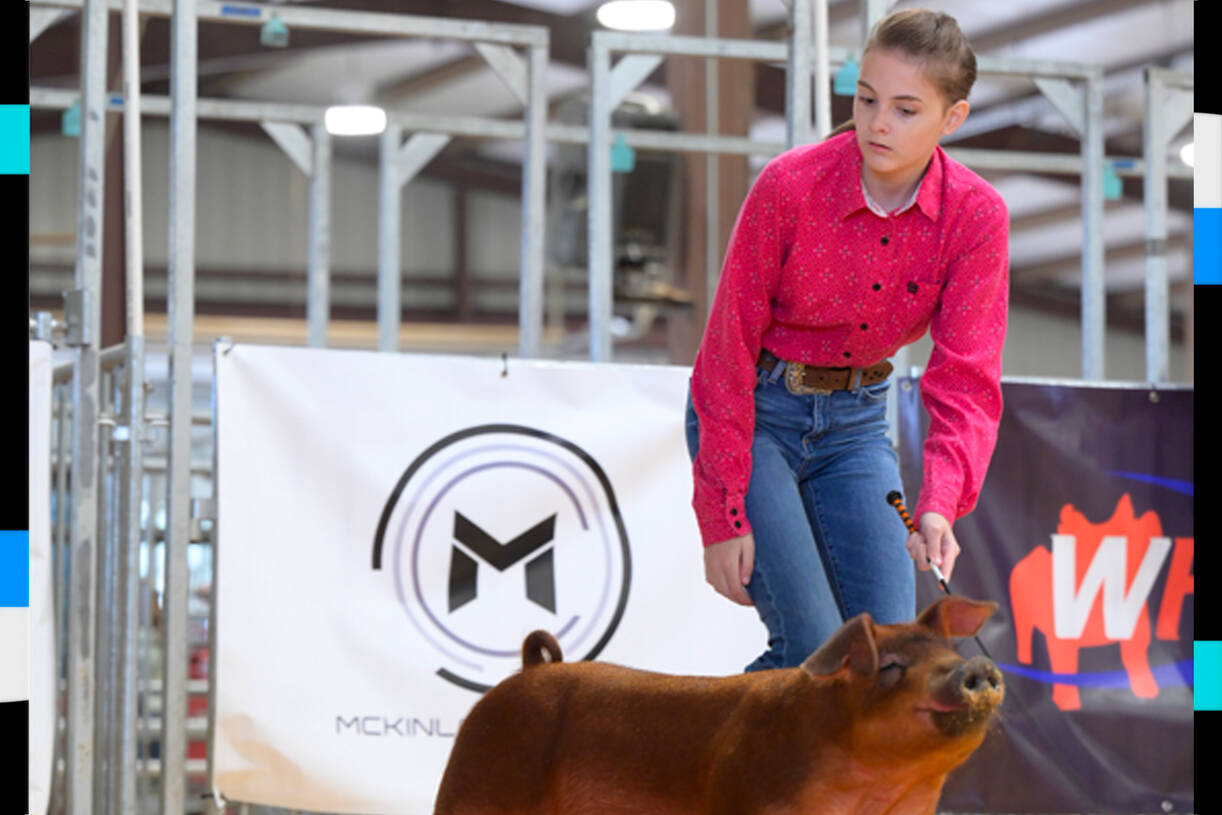 Maddie Barber, 17, shows a hog at the Kendall County Junior Livestock Show near Boerne, Tex., this month. (Devin Sisk Photography)