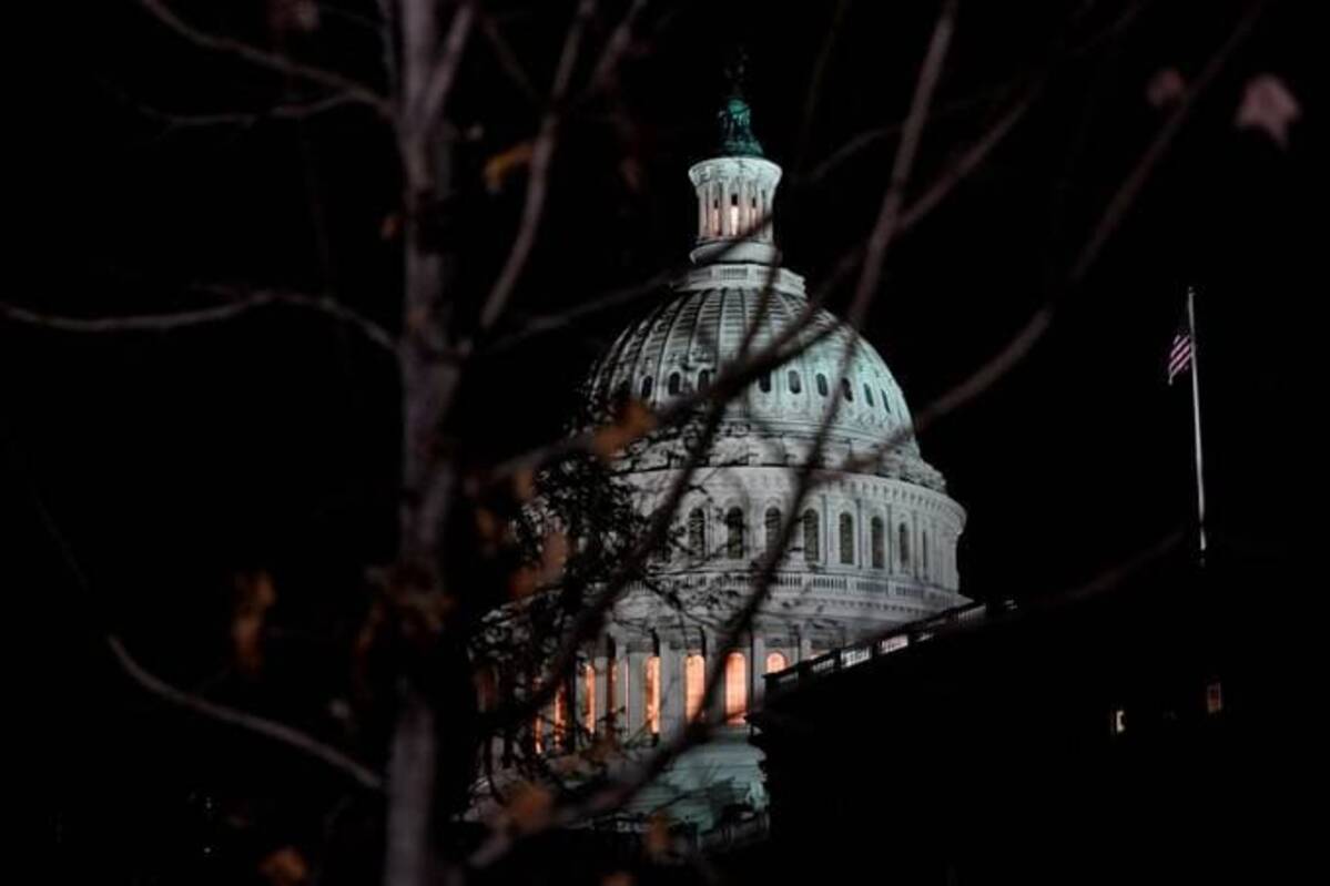 The U.S. Capitol dome is seen behind a tree at night. (Elizabeth Frantz/Reuters)