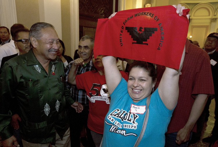 Farmworkers celebrate in Sacramento. (Rich Pedroncelli/AP)</p>  