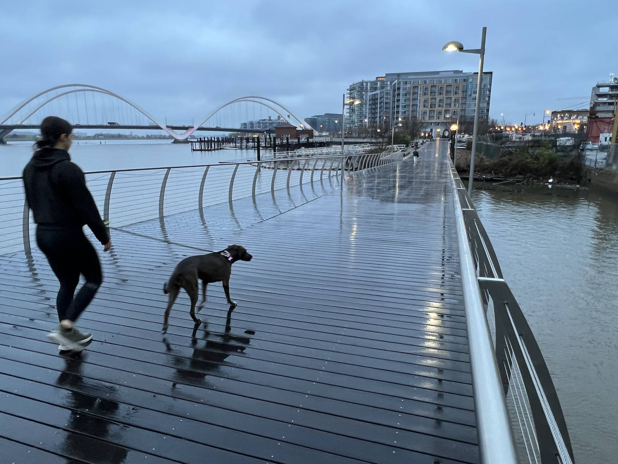 A rainy Wednesday morning along the Anacostia River in D.C.'s Navy Yard neighborhood. (Jeannie in D.C.)